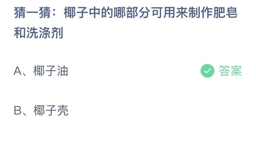 猜一猜椰子中的哪部分可用来制作肥皂和洗涤剂