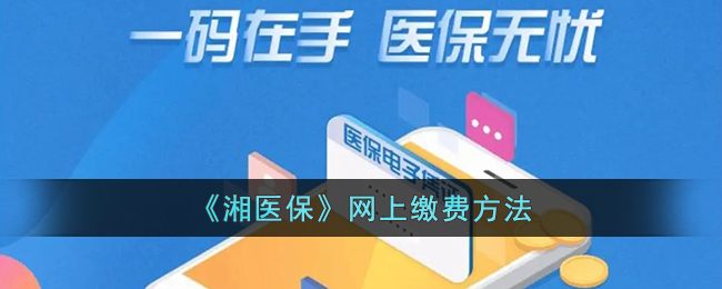 2020湘医保app(湘医保微信怎么缴费)