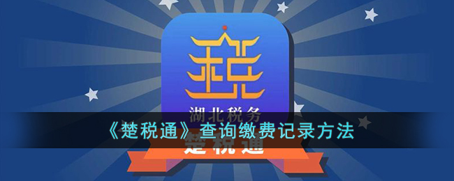 楚税通手机app(楚税通缴费在哪里)