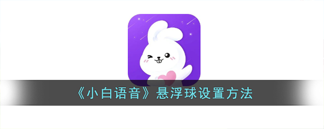 小白语音什么意思(小白语音怎么进入房间)