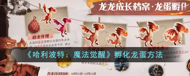 《哈利波特：魔法觉醒》孵化龙蛋方法