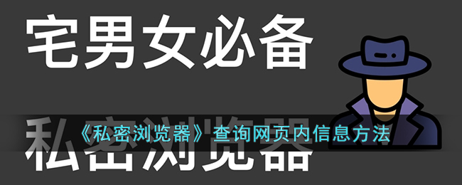 《私密浏览器》查询网页内信息方法有哪些(私密浏览器有哪些)