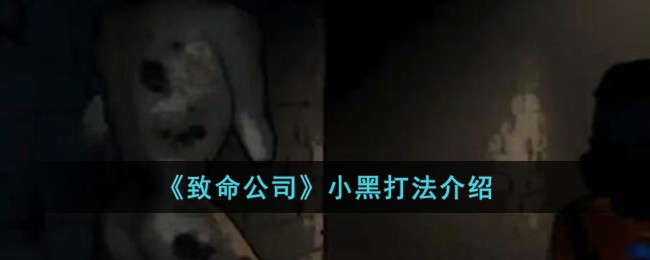 《致命公司》小黑打法介绍在线观看(《致命公司》小黑打法介绍视频)