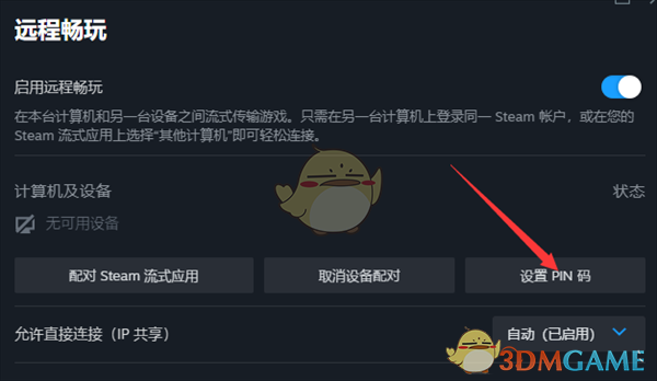 《steam》设置流式传输pin码教程