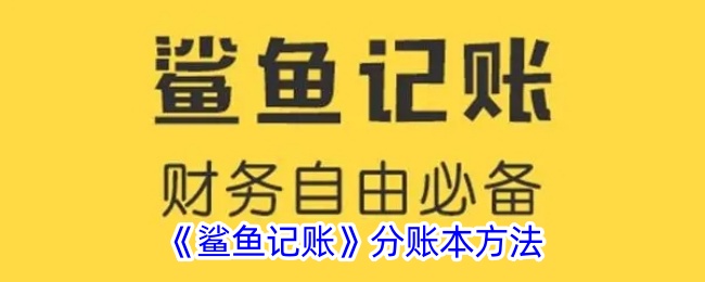 鲨鱼记账怎么看分类明细(鲨鱼记账 分类查看)