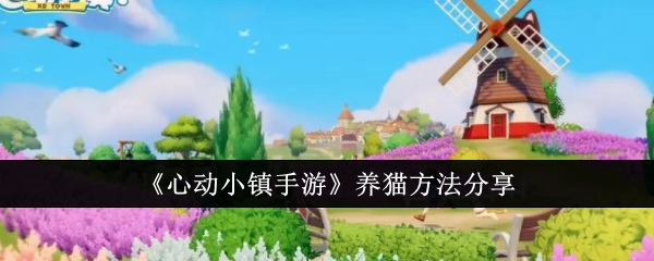 心动小屋装修(心动小镇什么时候出)