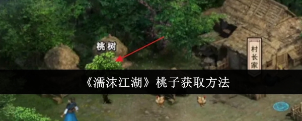 濡沫江湖桃花岛猴子怎么打(濡沫江湖桃花岛老奴不让进)